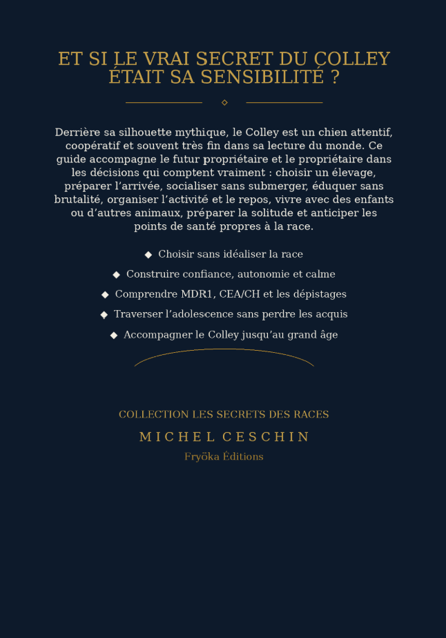 Colley: Élégance, intelligence et dévouement, l’héritage d’un berger mythique