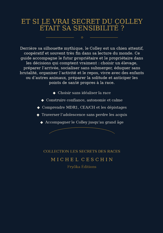 Colley: Élégance, intelligence et dévouement, l’héritage d’un berger mythique