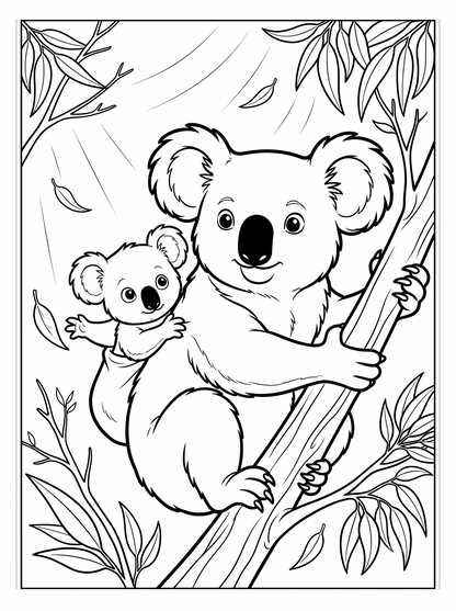 Kano el Koala: Una vida en los brazos de los eucaliptos