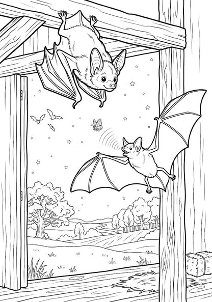 Nalya la Chauve-Souris, une vie sous les étoiles
